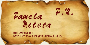 Pamela Mileta vizit kartica